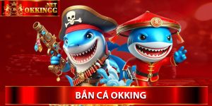 Giới thiệu về bắn cá Okking