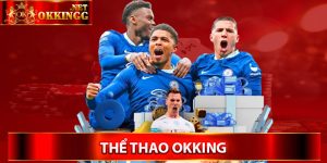 Vài nét khái quát về sảnh thể thao Okking