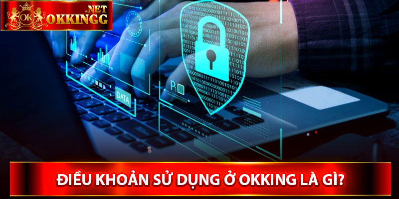 Điều khoản sử dụng ở Okking là gì?
